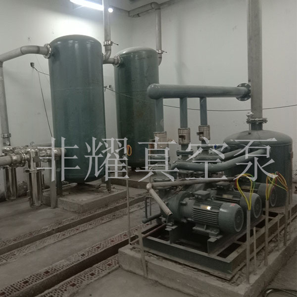 耐腐蝕水環(huán)真空泵